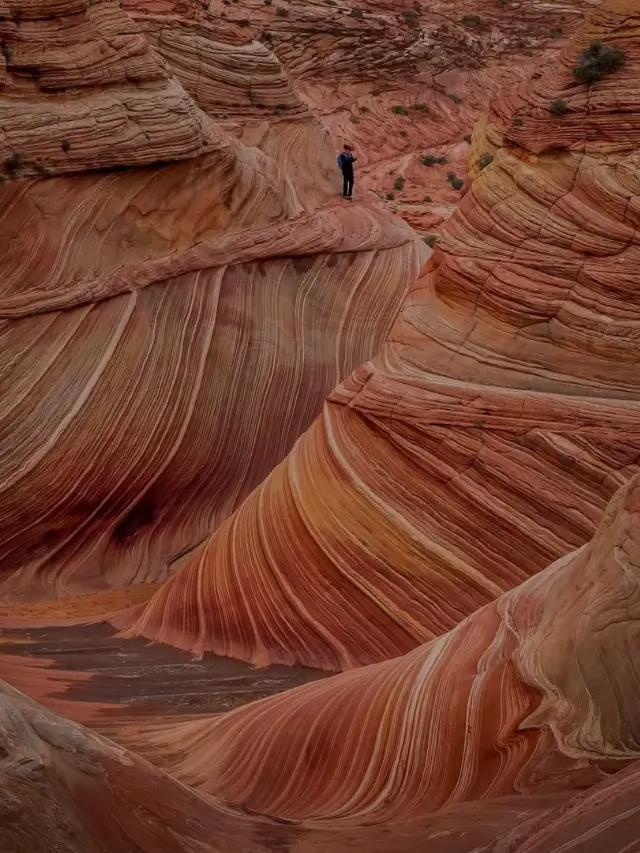 Explore The Wave: Arizona’s Breathtaking Sandstone Formation